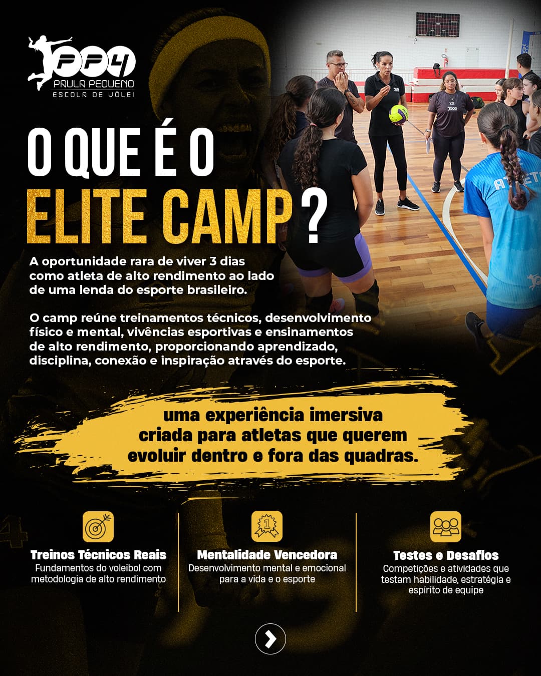 arte ofical elite camp 2